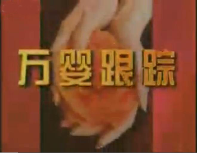 未來園早教中心 未來園早教機構